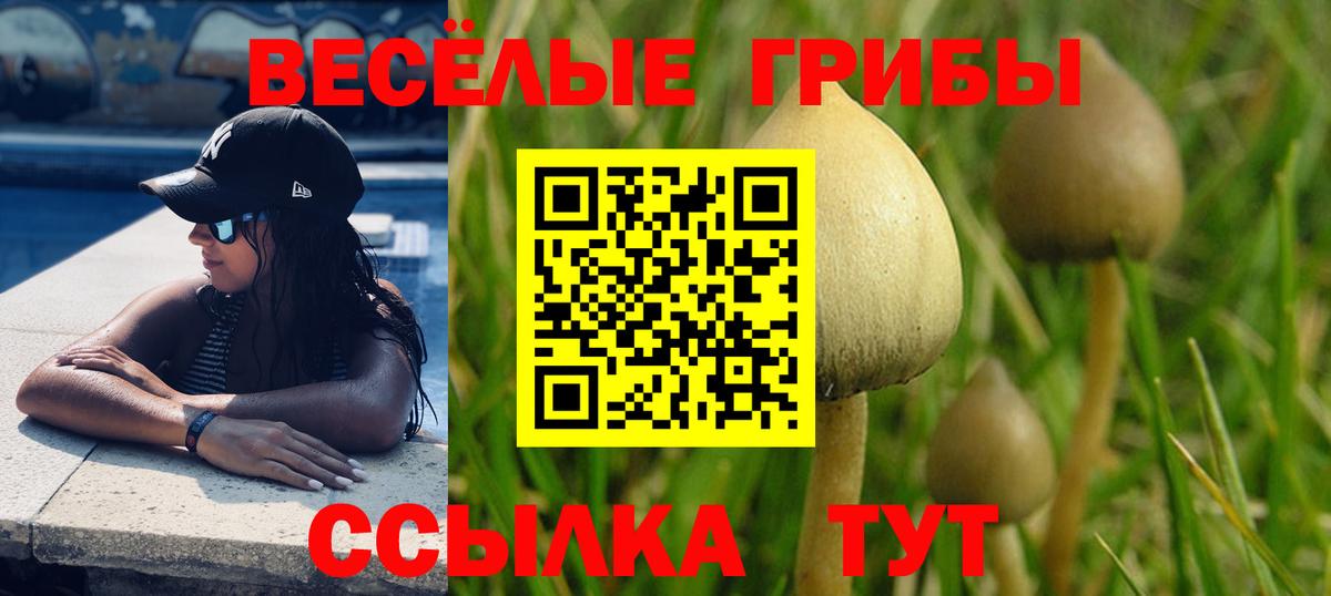 Галлюциногенные грибы MAGIC MUSHROOMS  Псилоцибиновые грибы мицелий  Вход с VPN  Среднеуральск 